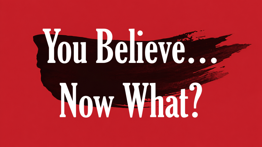 You Believe... Now What? Image
